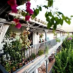 Un Oasis en el Corazón de Sevilla