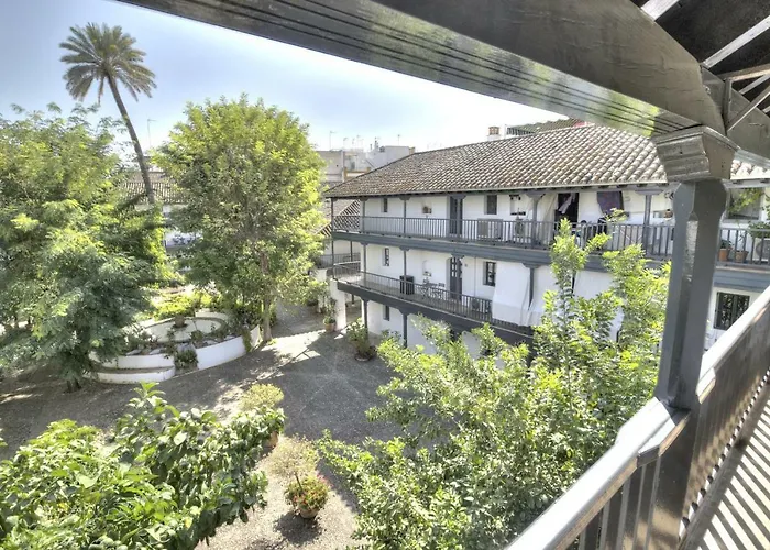 Un Oasis en el Corazón de Sevilla
