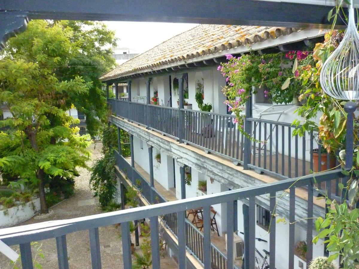 Un Oasis En El Corazon De *