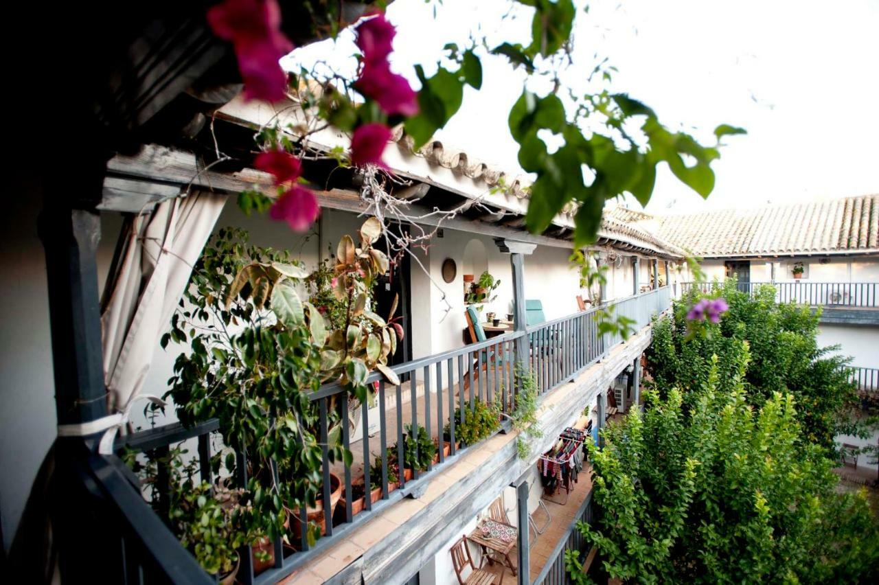 Un Oasis En El Corazón De Apartamento Sevilla