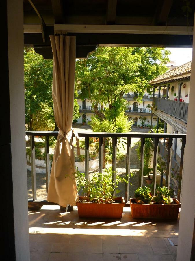 Un Oasis En El Corazon De Séville