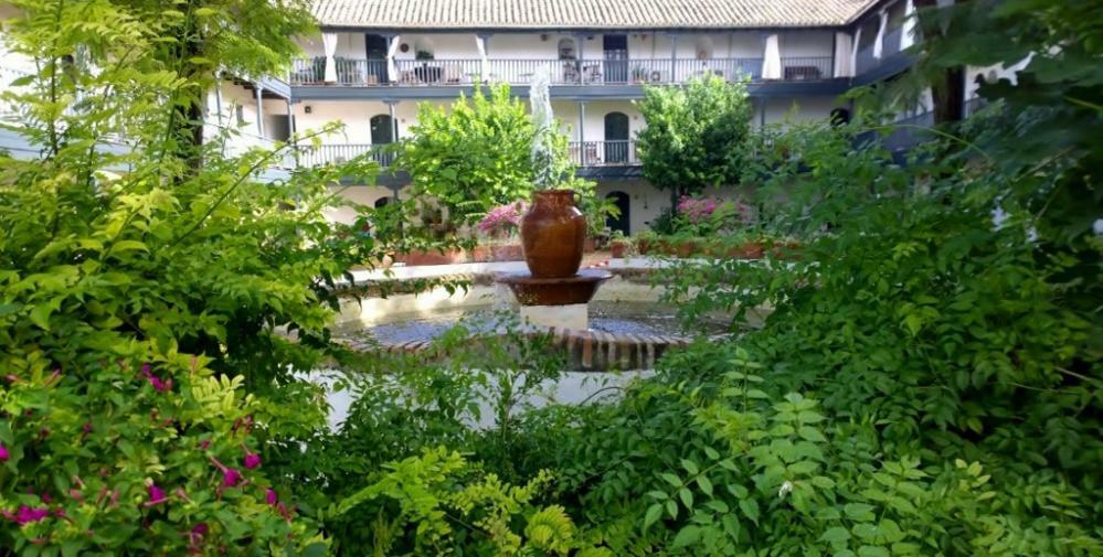 Un Oasis En El Corazon De Séville