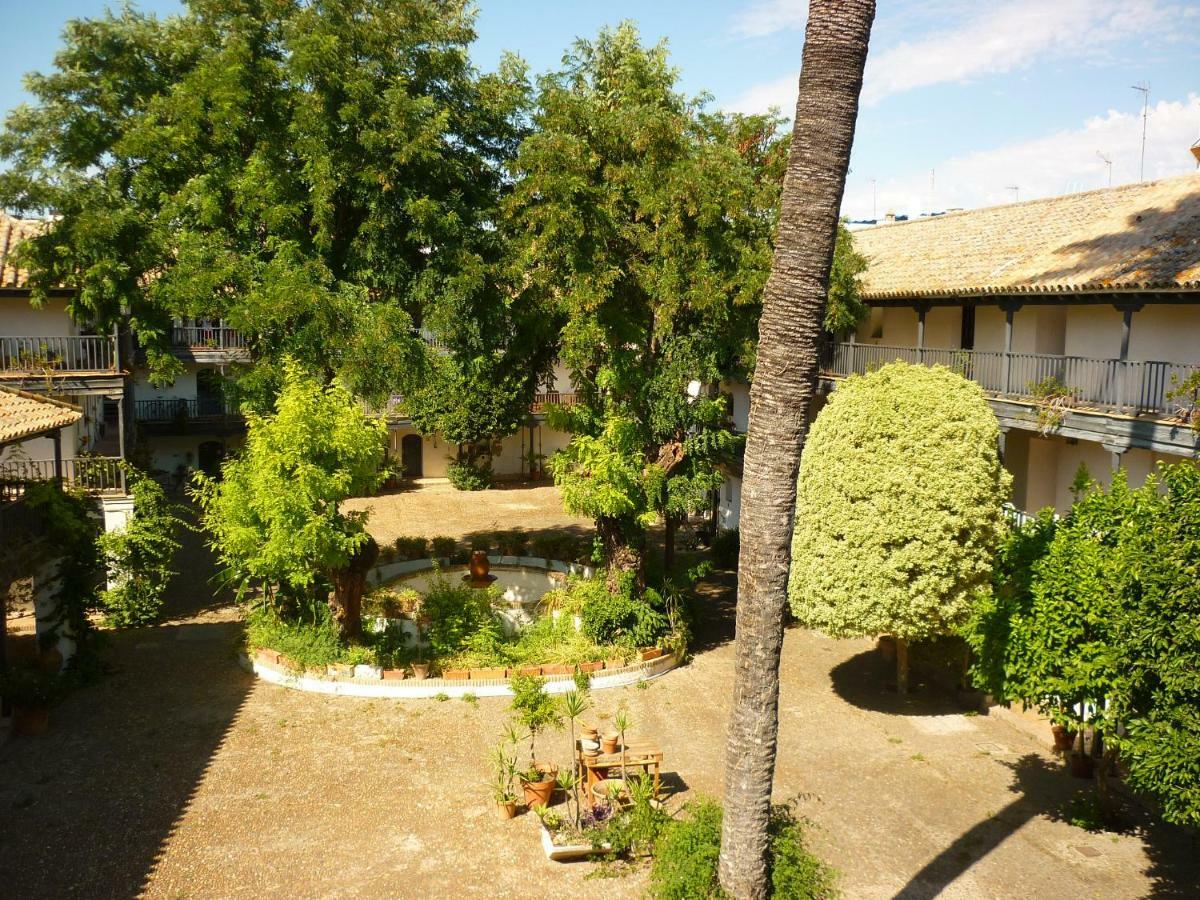 Un Oasis En El Corazon De Séville