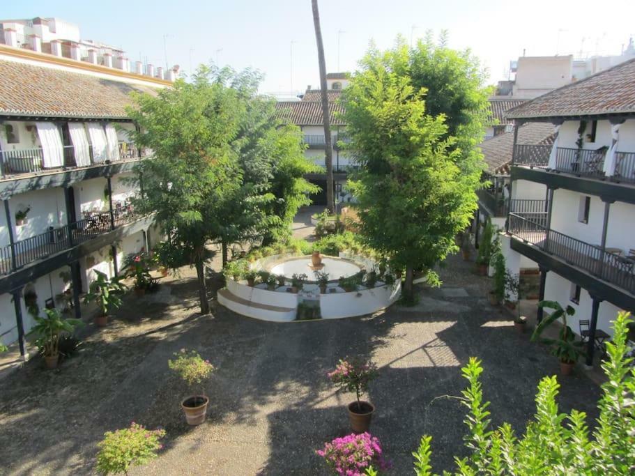 Un Oasis En El Corazon De Appartement