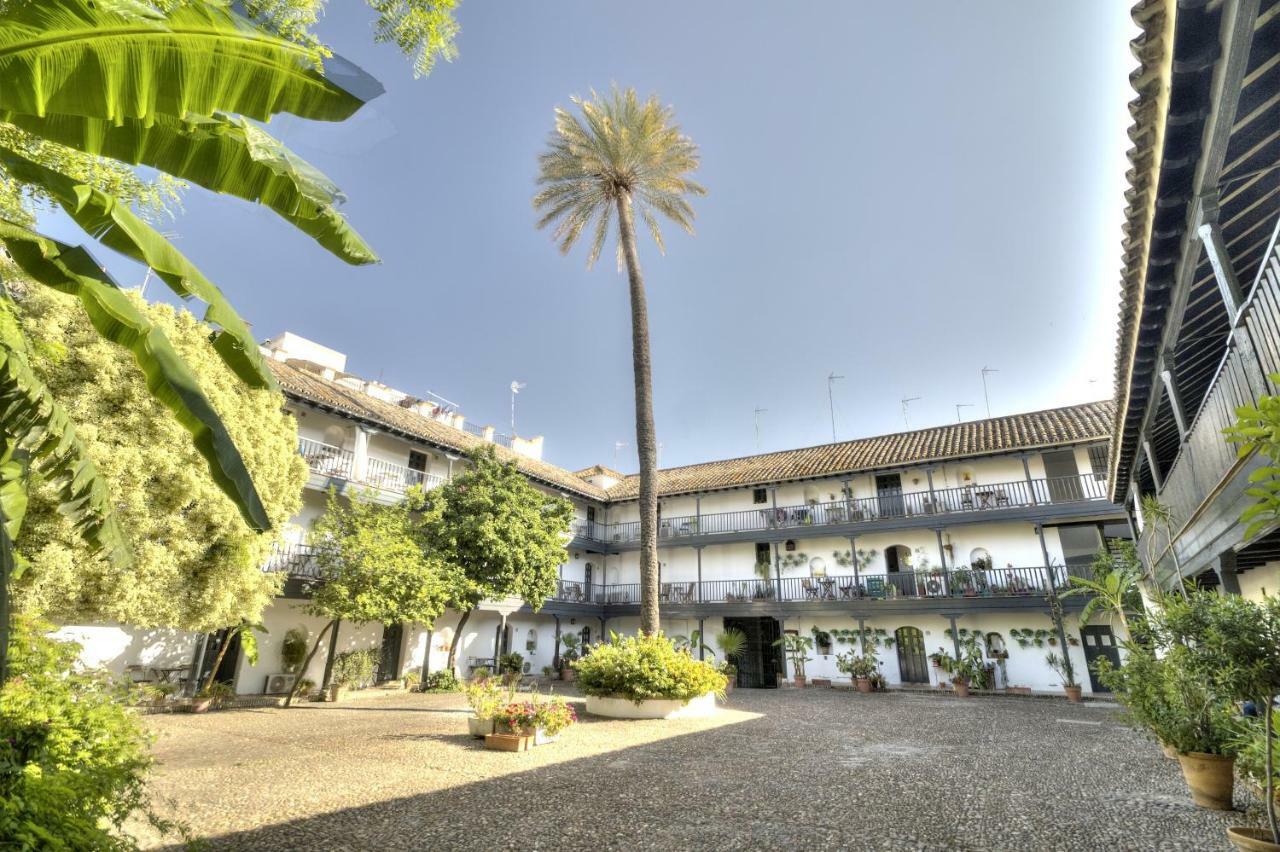 Un Oasis En El Corazon De Appartement