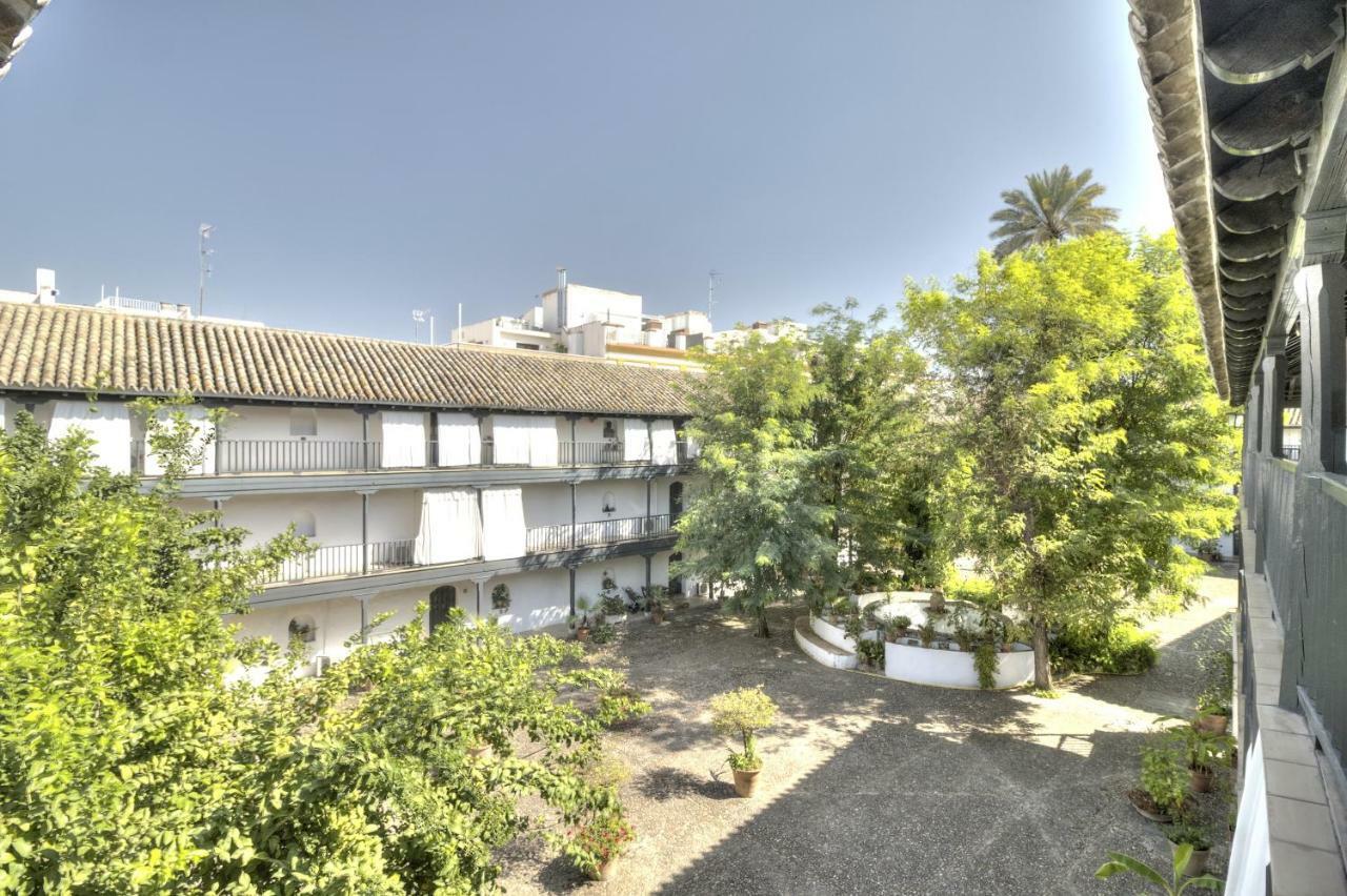 Un Oasis En El Corazon De Appartement