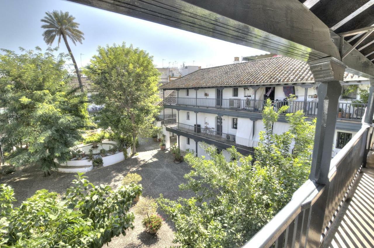 Un Oasis En El Corazon De Appartement
