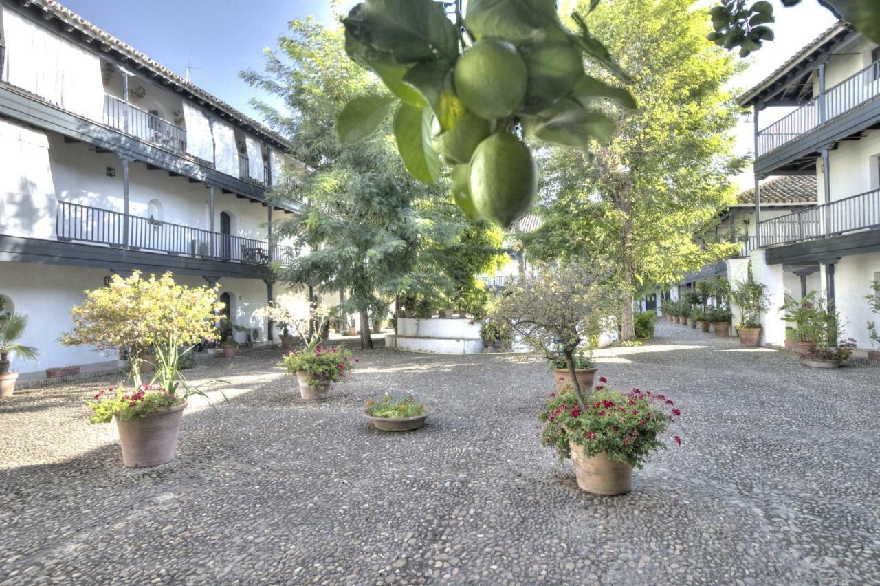 Un Oasis En El Corazon De Appartement Séville